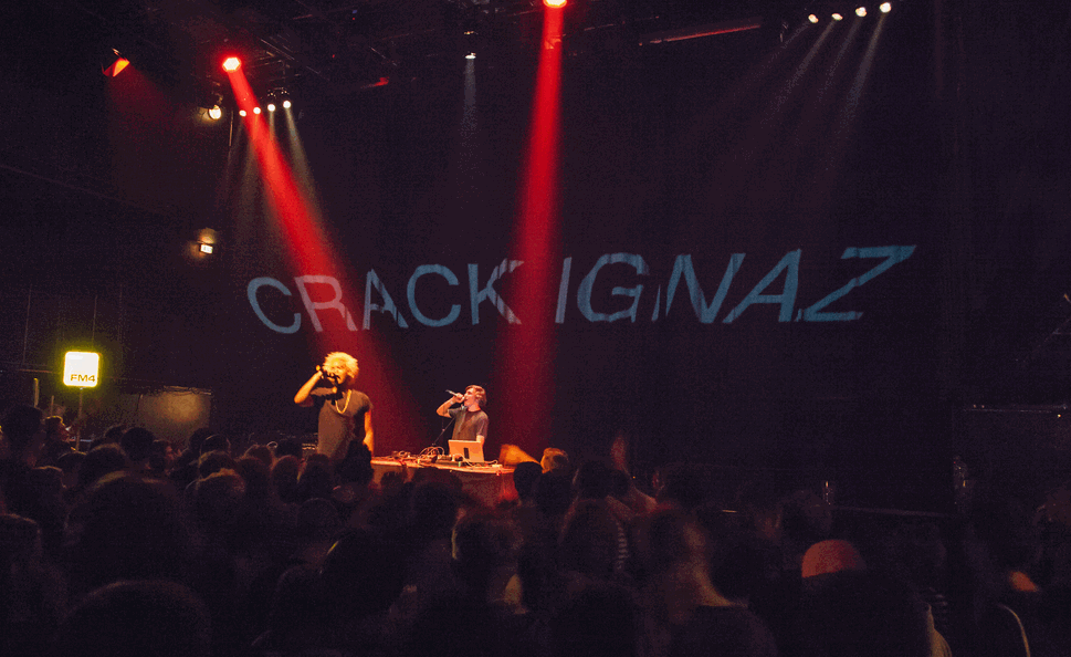 Crack Ignaz